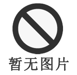 數(shù)字扭矩測(cè)試儀/ST系列扭矩檢測(cè)儀